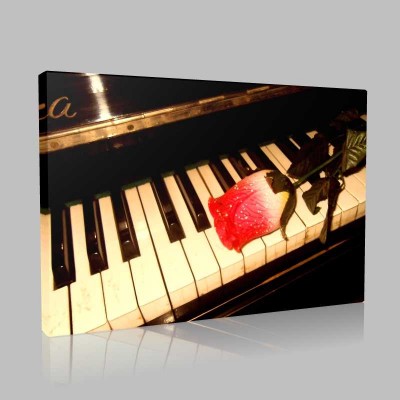 Gül Ve Piyano Kanvas Tablo