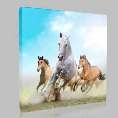 Beyaz At Ve Arkadaşları Kanvas Tablo Beyaz At Ve Arkadaşları Kanvas Tablo