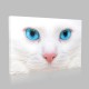 Kedi Yüzü Kanvas Tablo