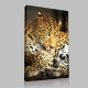 Leopar Keyfi Kanvas Tablo Leopar Keyfi Kanvas Tablo