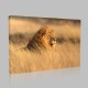 Lion At Savannah Kanvas Tablo