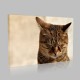 Uyuklayan Kedi Kanvas Tablo