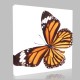 Desenli Kelebek Kanvas Tablo