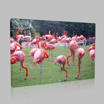 Flamingolar Birarada Kanvas Tablo