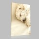 Highland Beyaz Terrier Yavru Uykuda Kanvas Tablo