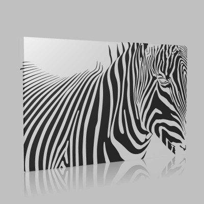 Zebra İllüstrasyon Kanvas Tablo