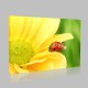 Sarı Çiçek Ve Uğurböceği Kanvas Tablo