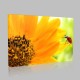 Turuncu Çiçek Ve Uğurböceği Kanvas Tablo