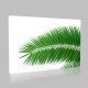 Yeşil Palmiye Kanvas Tablo