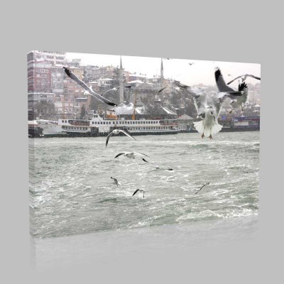 Martılar İstanbul Kanvas Tablo