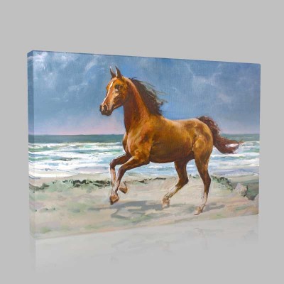 Brown Horse Kanvas Tablo