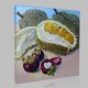 Tropical Malaysia Fruits 2 Kanvas Tablo