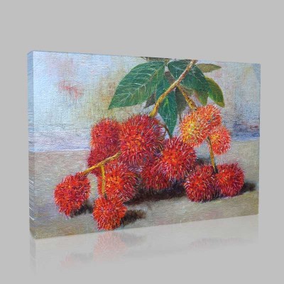 Tropical Malaysia Fruits Kanvas Tablo Tropical Malaysia Fruits Kanvas Tablo