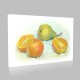 Pears And Oranges Kanvas Tablo Pears And Oranges Kanvas Tablo