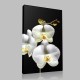 Beyaz Orkide Yakın Çekim Kanvas Tablo