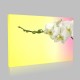 Beyaz Orkidenin Şıklığı Kanvas Tablo