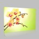 Gün Doğarken Orkide  Kanvas Tablo