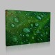Raindrops On Leaf Kanvas Tablo