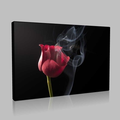 Smoky Red Rose 1 Kanvas Tablo