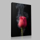 Smoky Red Rose 3 Kanvas Tablo