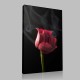Smoky Red Rose 4 Kanvas Tablo