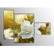 Beyaz Güller Parçalı Tablo 120X85Cm