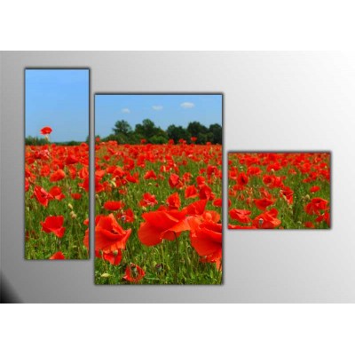 Gelincik Tarlası Parçalı Tablo 120X85Cm Gelincik Tarlası Parçalı Tablo 120X85Cm