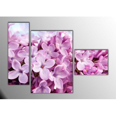 Pure Pink Parçalı Tablo 120X85Cm Pure Pink Parçalı Tablo 120X85Cm