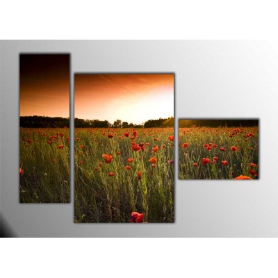 Valley Of Poppy Parçalı Tablo 120X85Cm Valley Of Poppy Parçalı Tablo 120X85Cm