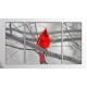 Erkek Kardinal Kuşu Parçalı Tablo 120X70Cm