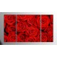Kırmızı Güller Parçalı Tablo 120X70Cm
