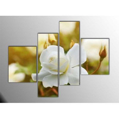 Beyaz Güller Parçalı Tablo 120X95Cm