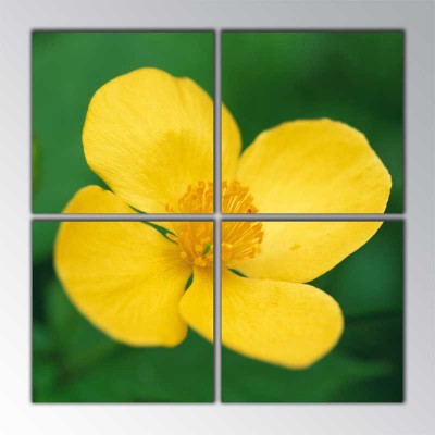 Sarı Çiçek Yakınca Parçalı Tablo 100 X100Cm