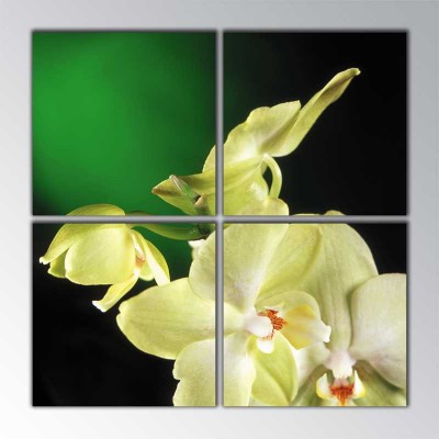 Yeni Açan Orkide Parçalı Tablo 100 X100Cm