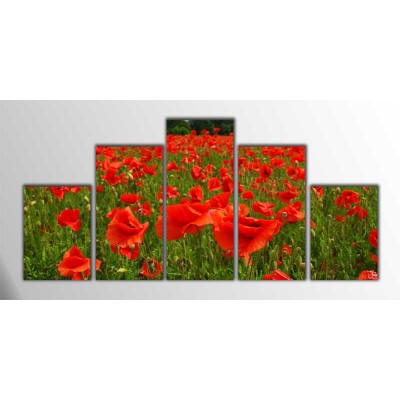 Gelincik Tarlası Parçalı Tablo 125X60Cm Gelincik Tarlası Parçalı Tablo 125X60Cm